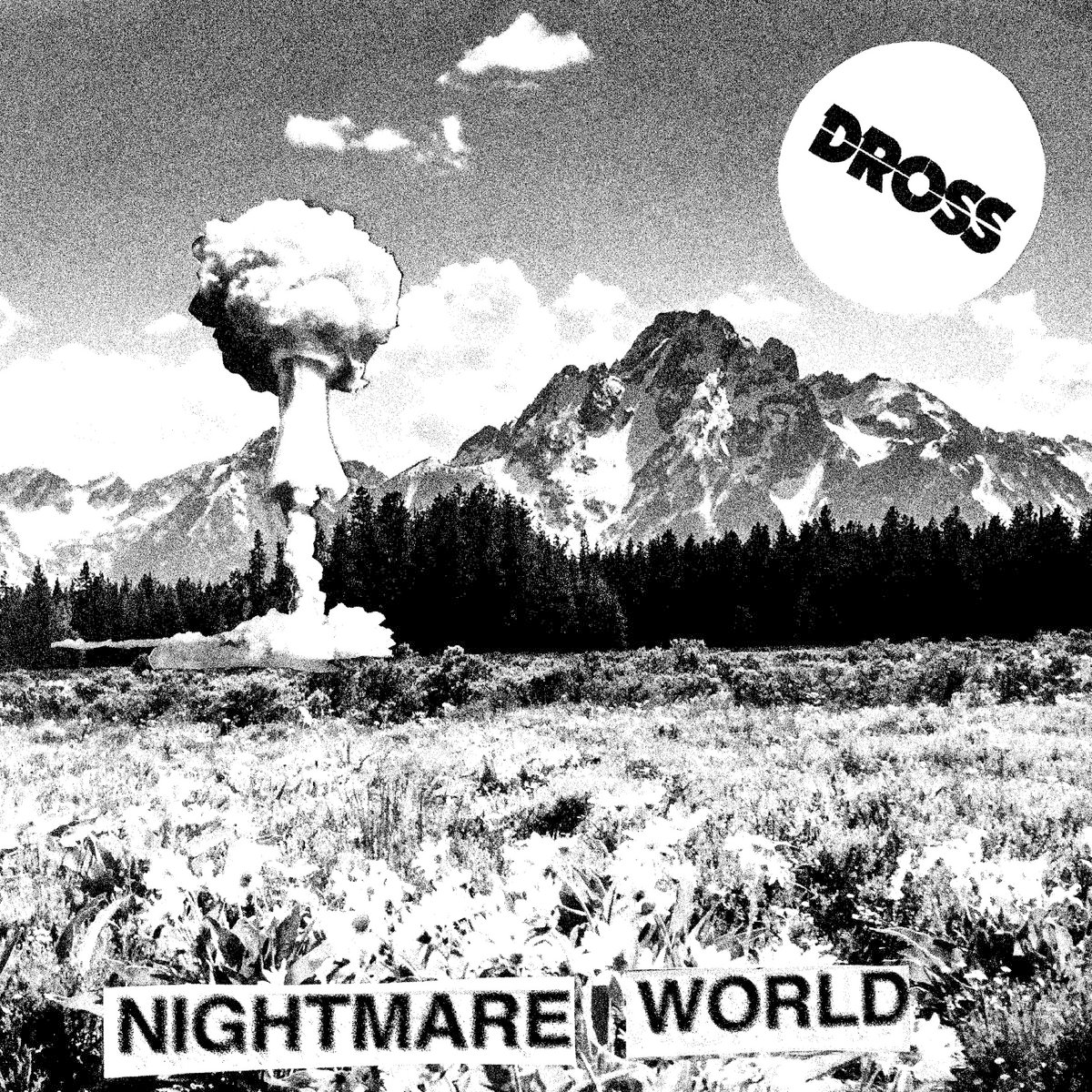 Dross- Nightmare World LP ~EX CAVEMEN / SPEEDWAYS!