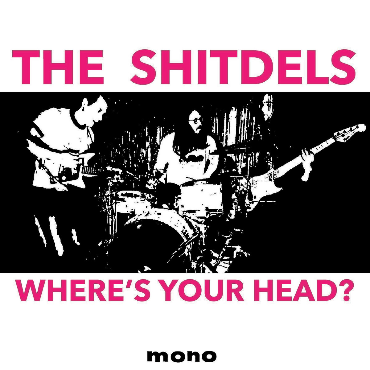 Shitdels- Where’s Your Head? LP ~EX SLEEVEENS / AQUARIAN BLOOD!