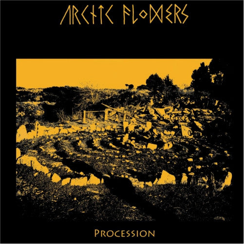 Arctic Flowers- Procession LP ~EX DEFECT DEFECT! - Band - Dead Beat Records
