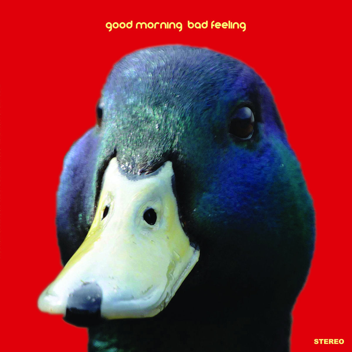 Blues Against Youth- Good Morning, Bad Feeling 10” ~HASIL ADKINS!