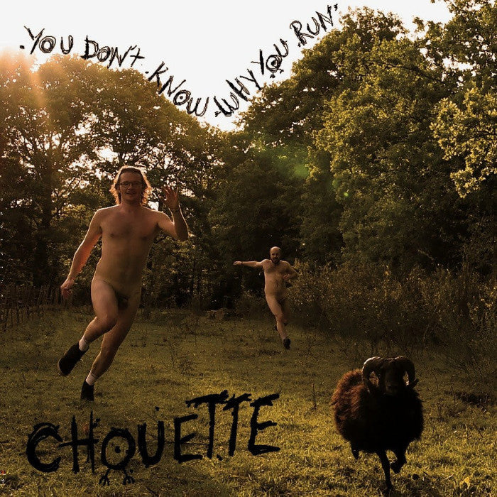 Chouette- You Don’t Know Why You Run LP ~CAPTAIN BEEFHEART! - Beast - Dead Beat Records