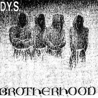DYS- Brotherhood LP - Redrum - Dead Beat Records