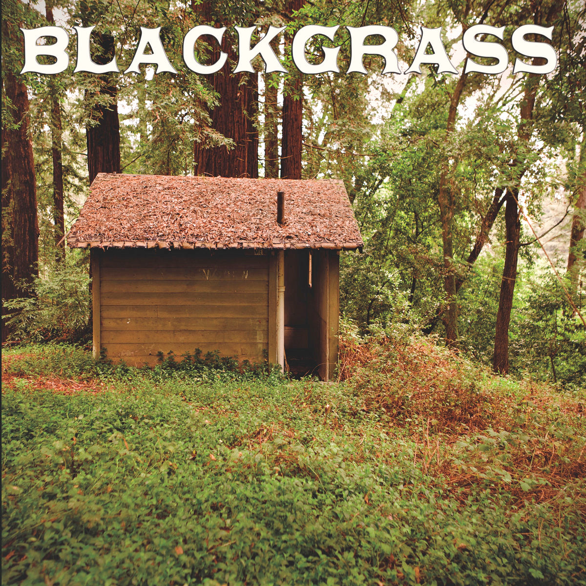 Earl Lee Grace- Blackgrass LP ~W/ BLAG OF THE DWARVES!