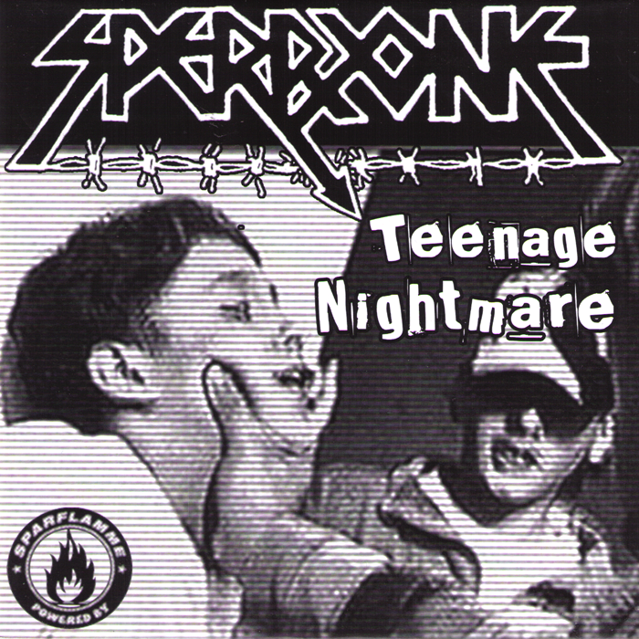 Sperrzone- Teenage Nightmare 7” ~WANDA RECORDS!