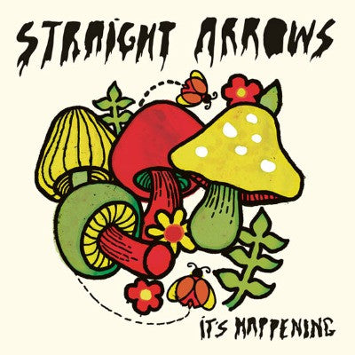 STRAIGHT ARROWS- It's Happening LP - Aarght! - Dead Beat Records