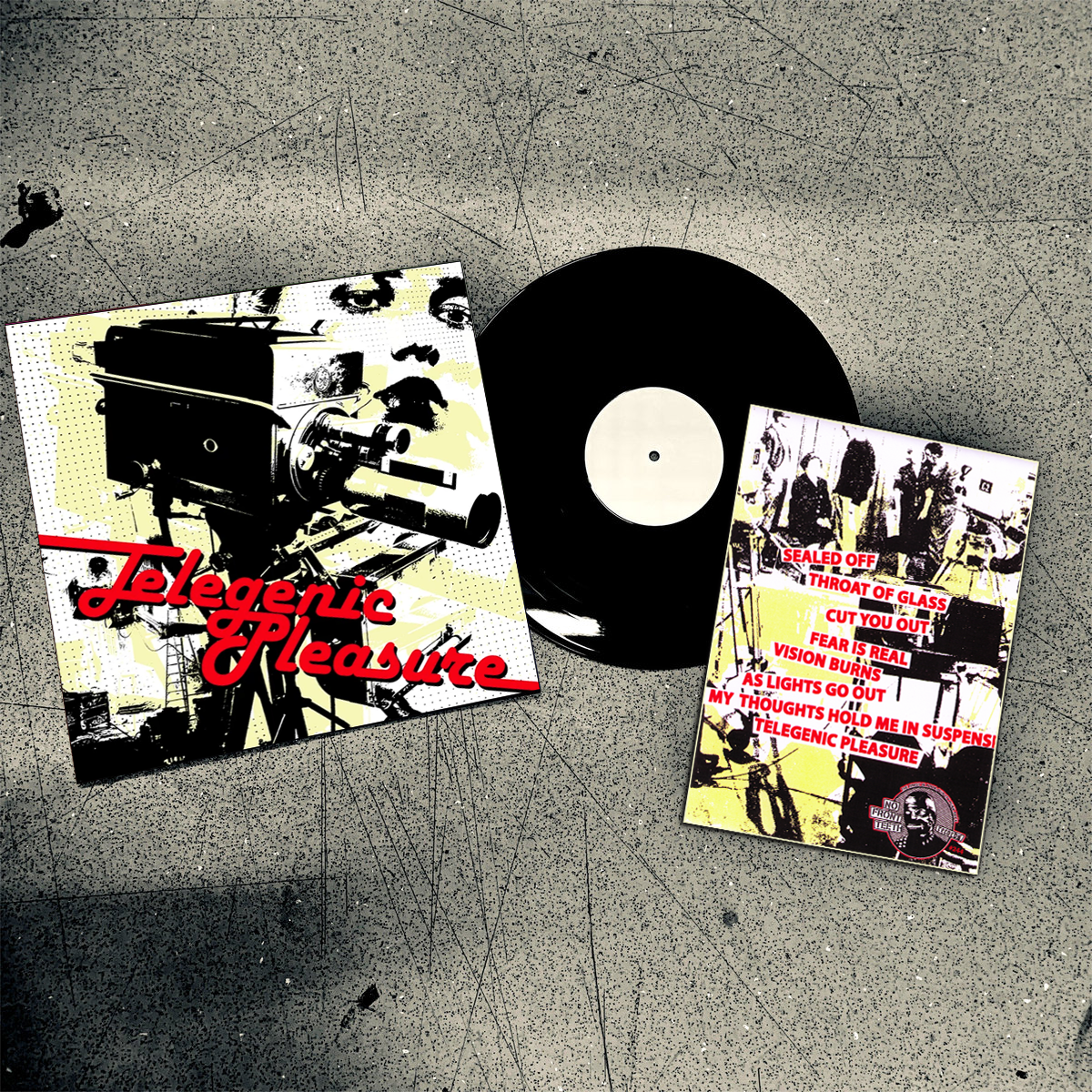 Telegenic Pleasure- S/T LP ~EX GAGGERS / RARE CAMERA COVER LTD TO 30!