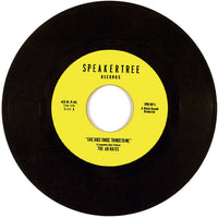 The Ar-Kaics- She Does Those Things To Me 7" ~RARE! - Speakertree - Dead Beat Records