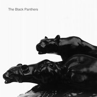 Black Panthers - S/T LP ~RARE 200 PRESSED! - Kato - Dead Beat Records