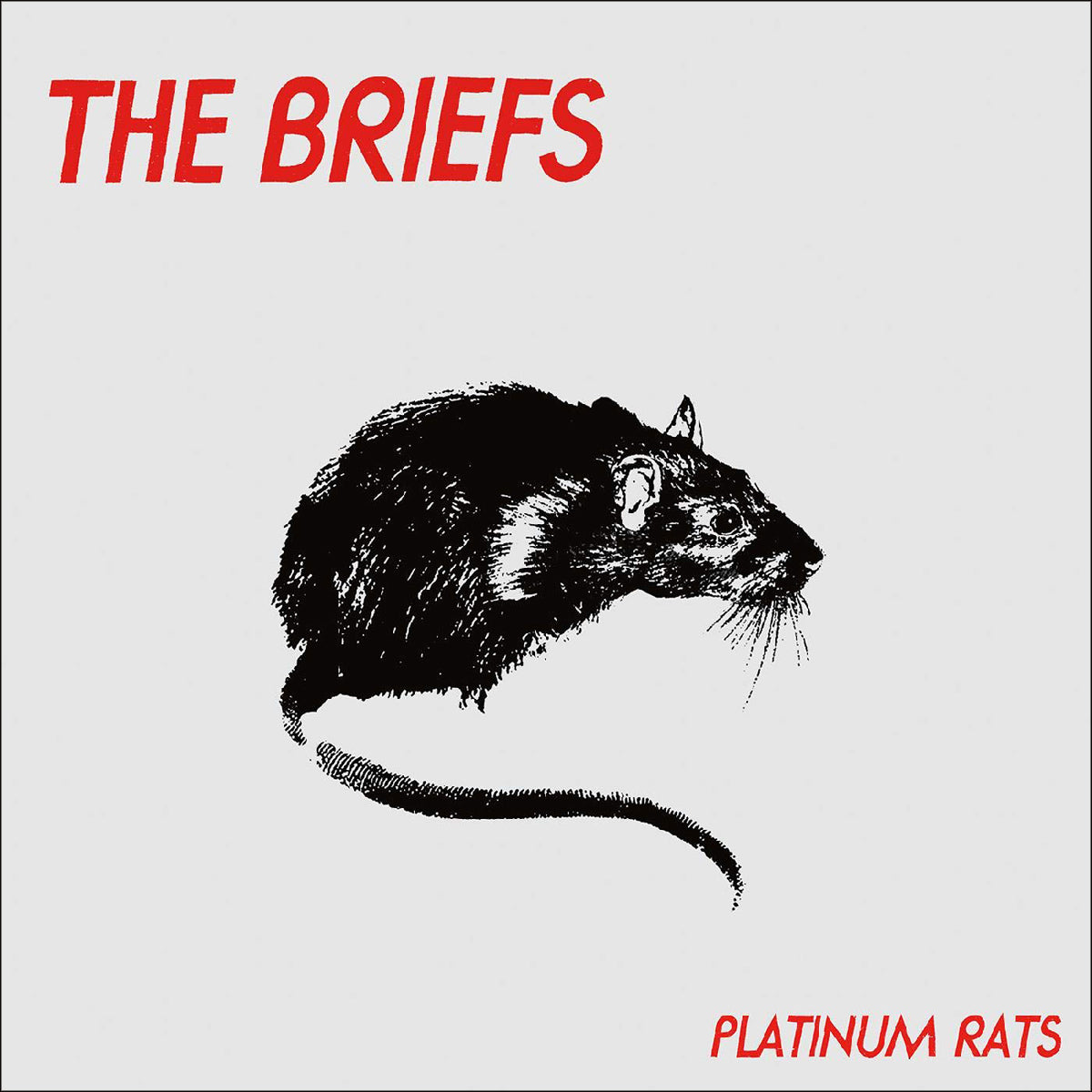 Briefs- Platinum Rats CD
