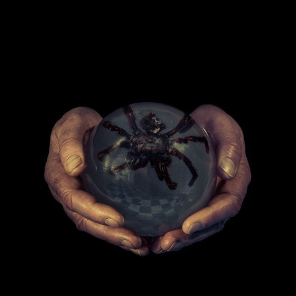 Buck Gooter- The Spider's Eyes LP ~UNSANE!