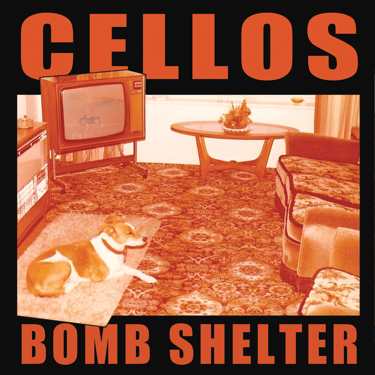 Cellos - Bomb Shelter LP ~KILLER!