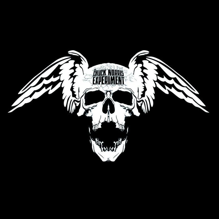 CHUCK NORRIS EXPERIMENT- 'And The Rest Will Follow' LP - Tornado Ride - Dead Beat Records