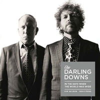 DARLING DOWNS- In The Days When LP ~EX SCIENTISTS! - Beast - Dead Beat Records