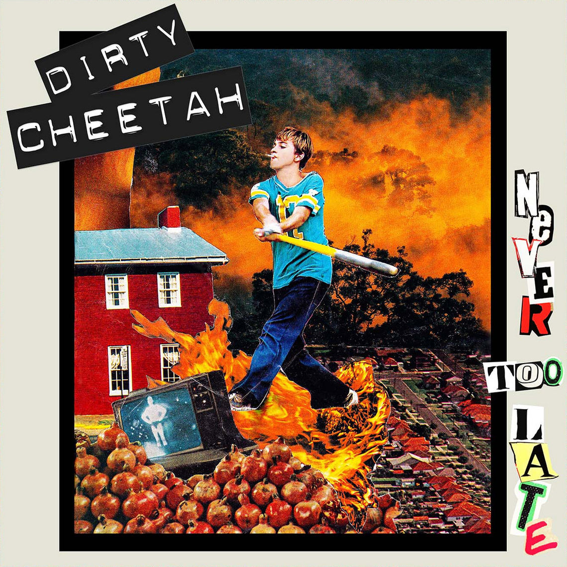 Dirty Cheetah- Never To Late LP ~EX PALE LIPS!