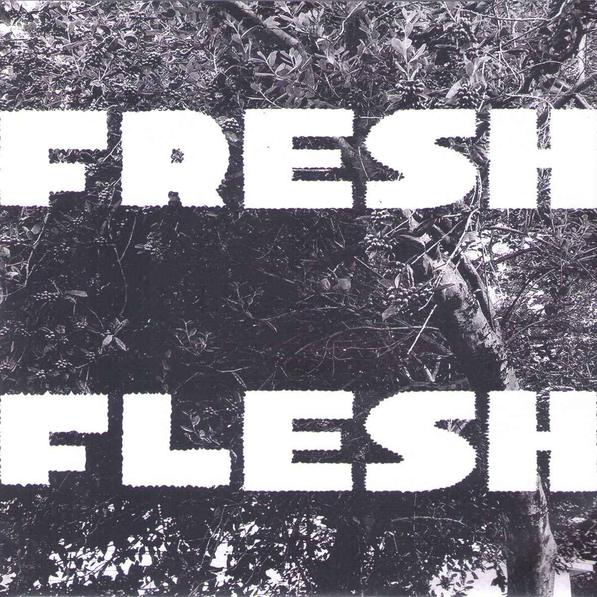 Fresh Flesh- Say It Say Yes 7” ~COVER LTD 85 HAND NUMBERED!
