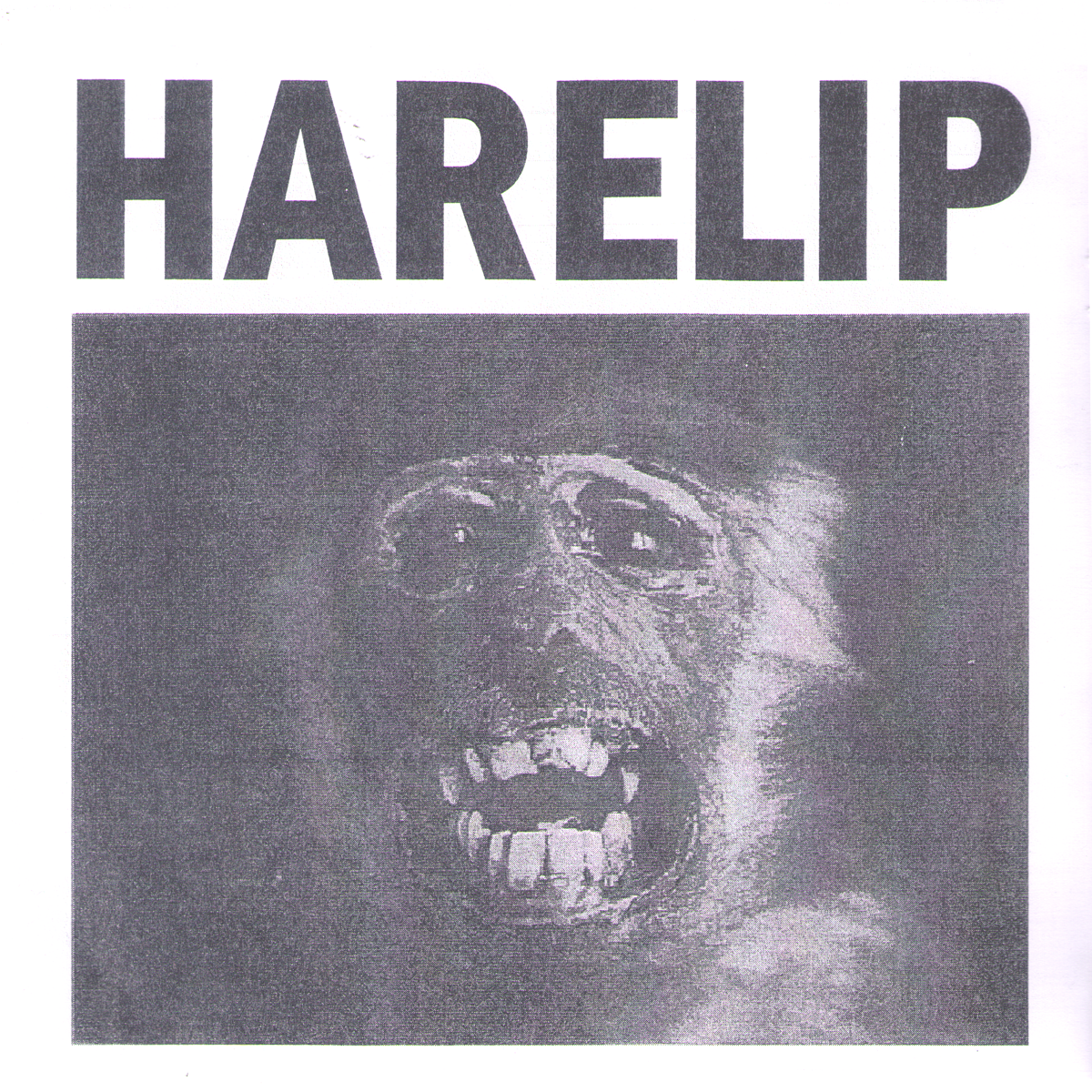 Harelip- S/T 7" ~REGULATIONS!