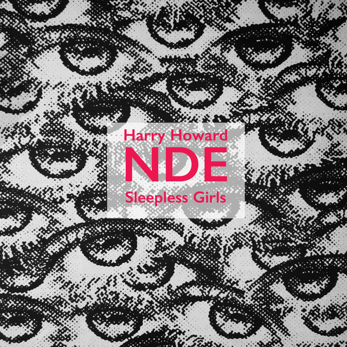 Harry Howard & The NDE- Sleepless Girls LP ~BIRTHDAY PARTY!