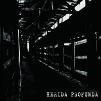 Herida Profunda- S/T LP ~GATEFOLD COVER! - Pogohai - Dead Beat Records - 1