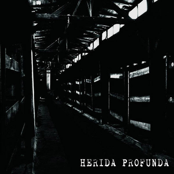 Herida Profunda- S/T LP ~GATEFOLD COVER! - Pogohai - Dead Beat Records - 1