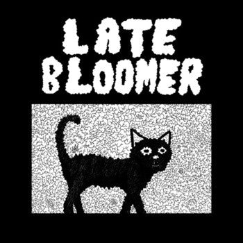 Late Bloomer- S/T LP ~EX CAR VS DRIVER! - Self Aware - Dead Beat Records