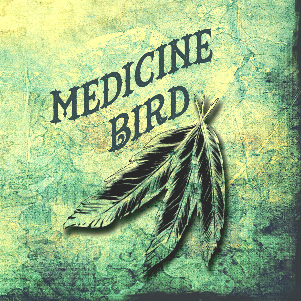 Medicine Bird- S/T CD ~ZZ TOP!