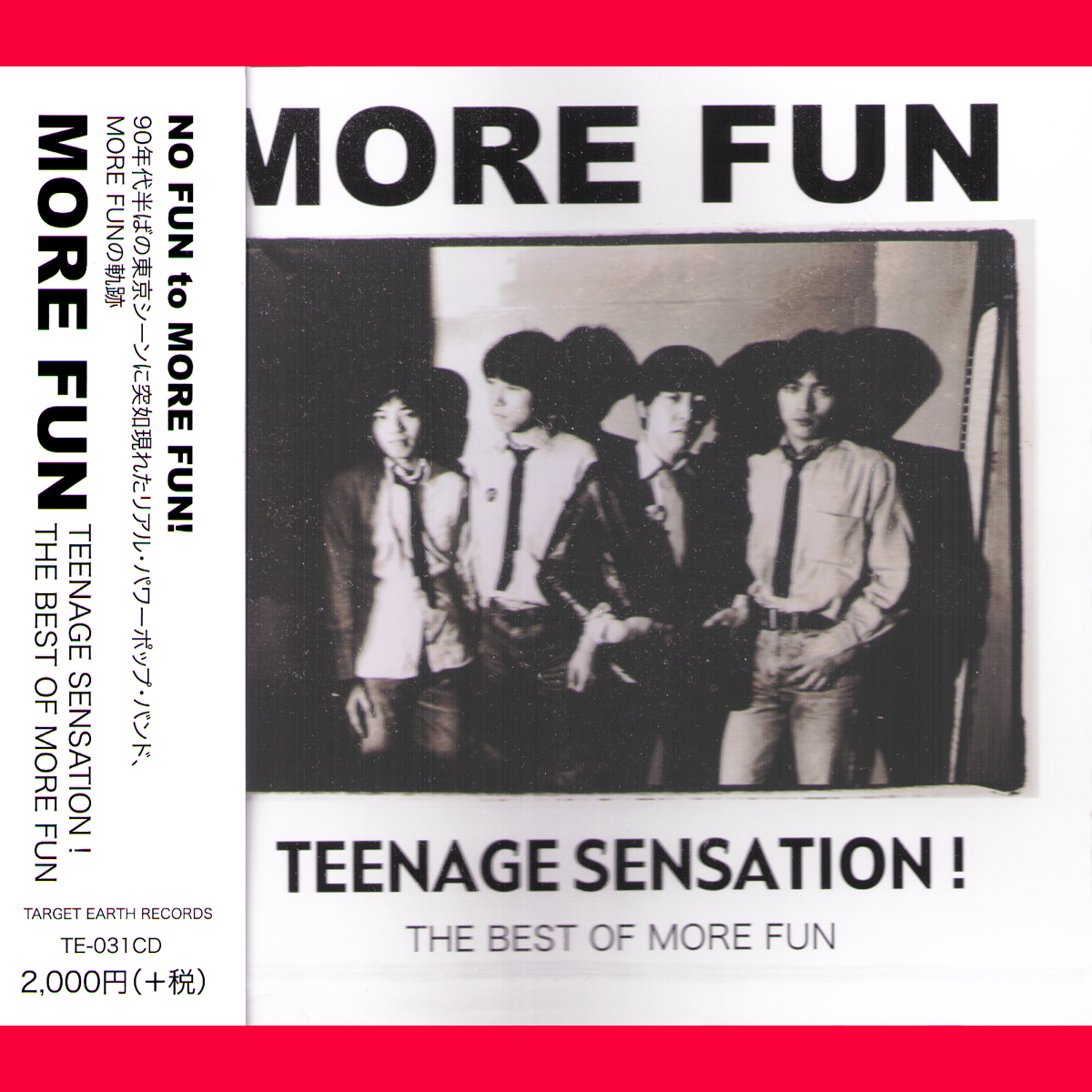 More Fun- Teenage Sensation! (Best Of) CD ~EX TREEBERRYS / ROCKBOTTOM!
