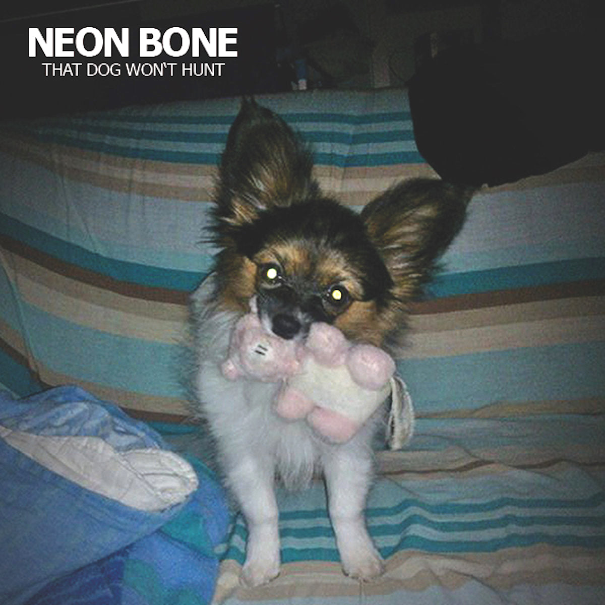Neon Bone- That Dog Won’t Hunt LP ~MOTO!