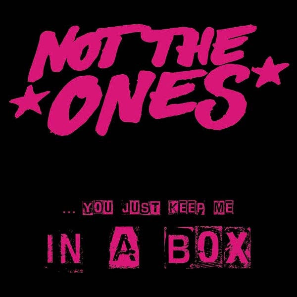 Not The Ones- In A Box 7" ~THE BOYS! - Wanda - Dead Beat Records