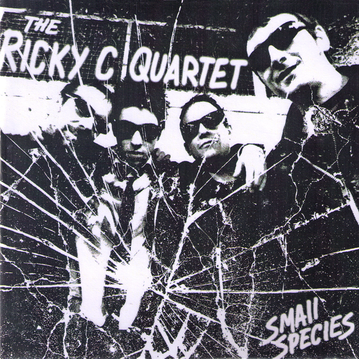 Ricky C Quartet- Small Species 7" ~KILLER!