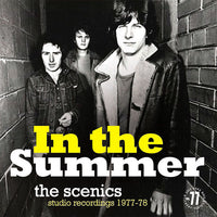 The Scenics- In The Summer (Studio Recordings 1977-1978) LP ~REISSUE! - Rave Up - Dead Beat Records
