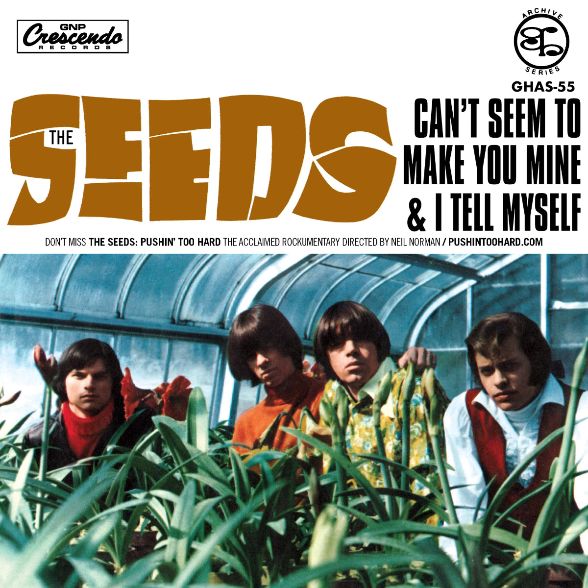 Seeds- Can’t Seem To Make You Mine 7” ~REISSUE!