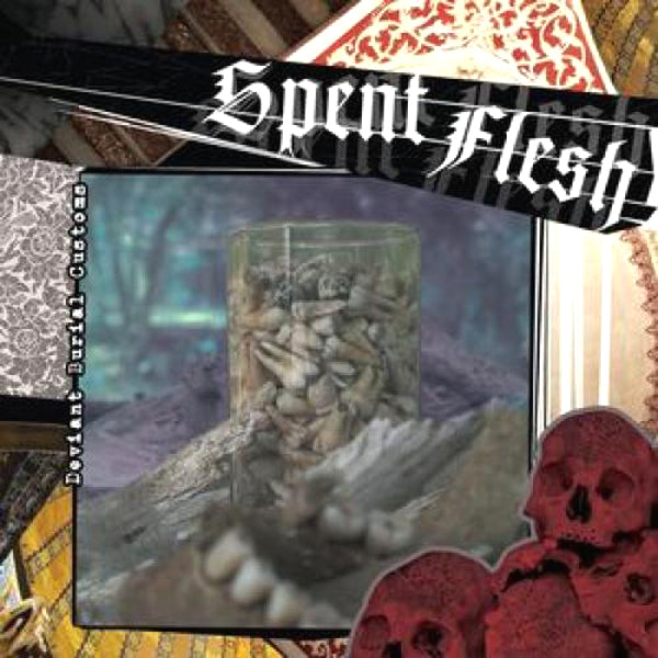 Spent Flesh- Deviant Brutal Customs 7" ~REATARDS!