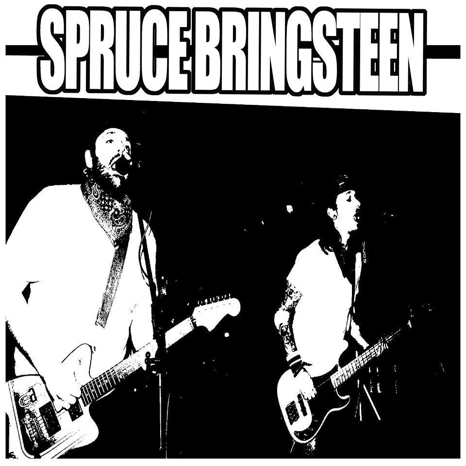 Spruce Bringsteen- Game On! 10" ~THE QUEERS! - Do What? - Dead Beat Records