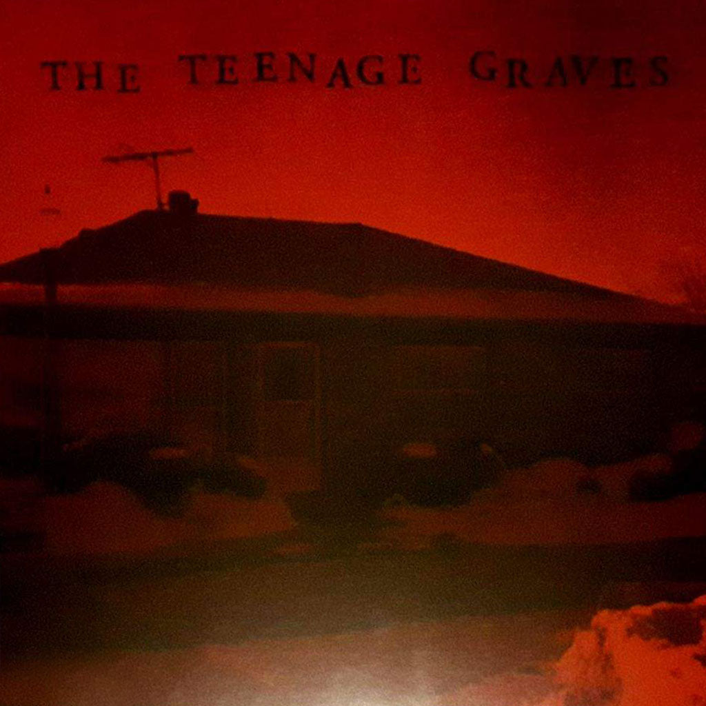 Teenage Graves- S/T LP ~REISSUE!