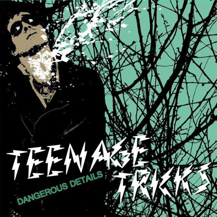 Teenage Tricks- Dangerous Details LP ~EX GAGGERS!