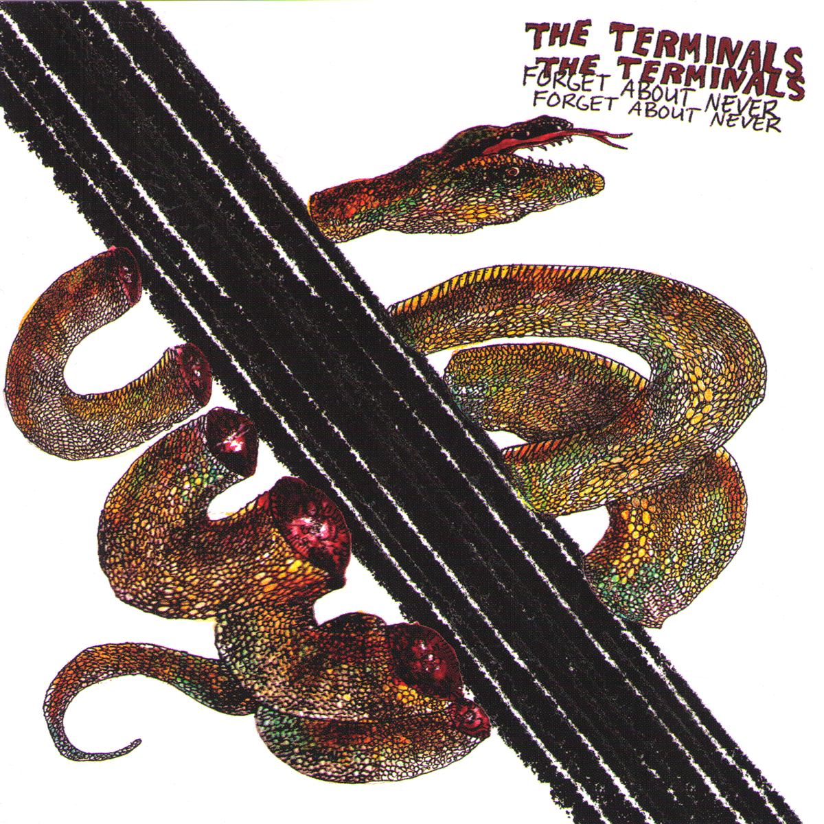 Terminals- Forget About Never LP ~CHEATER SLICKS!