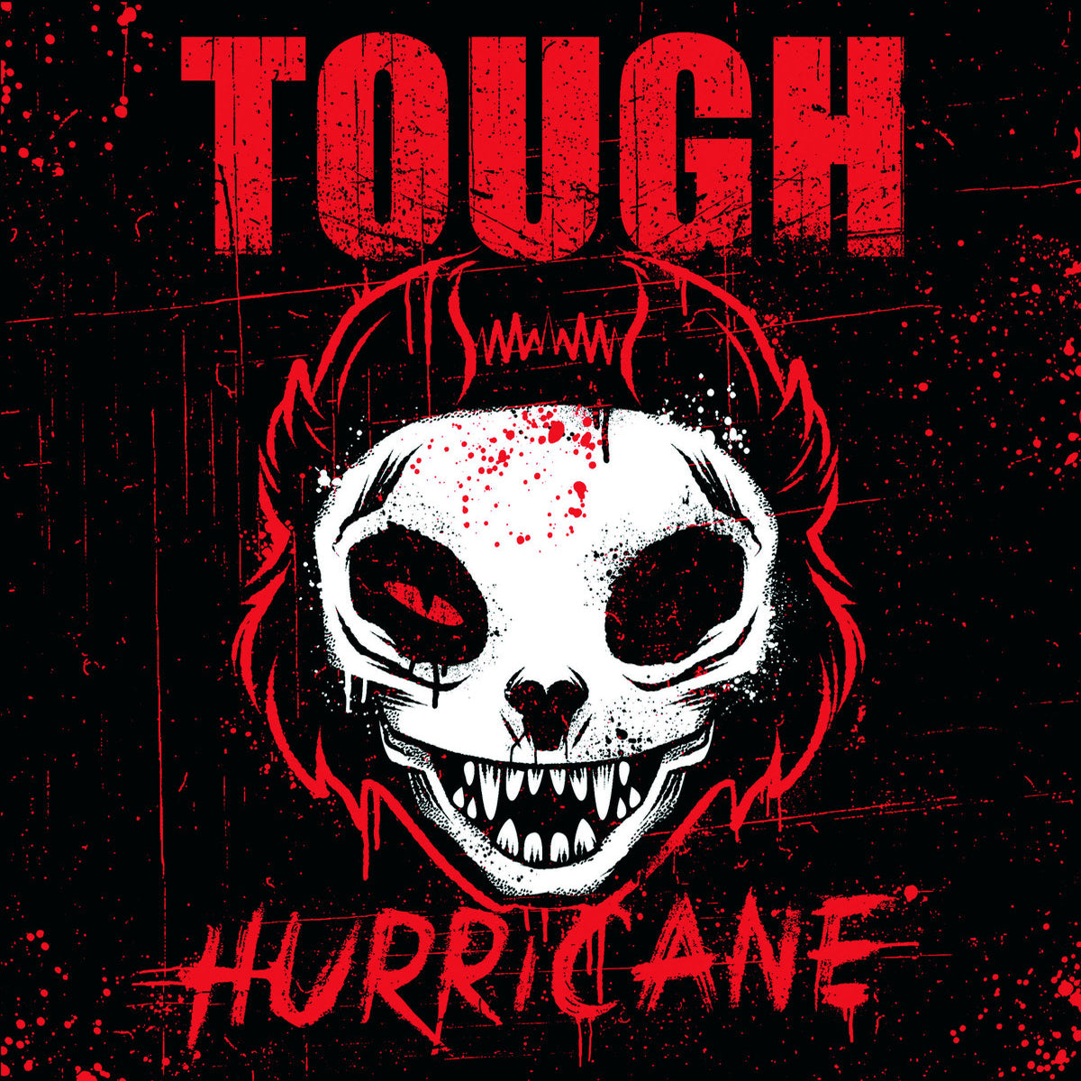 Tough- Hurricane 7” ~RAMONES!