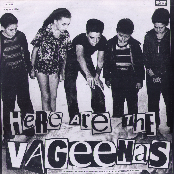 Vageenas/Slide And The Question Marks- Split 10” ~PICTURE DISC!