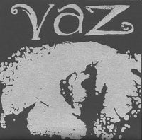 Vaz- Hey One Cell 7” ~EX HAMMERHEAD! - Reptilian - Dead Beat Records