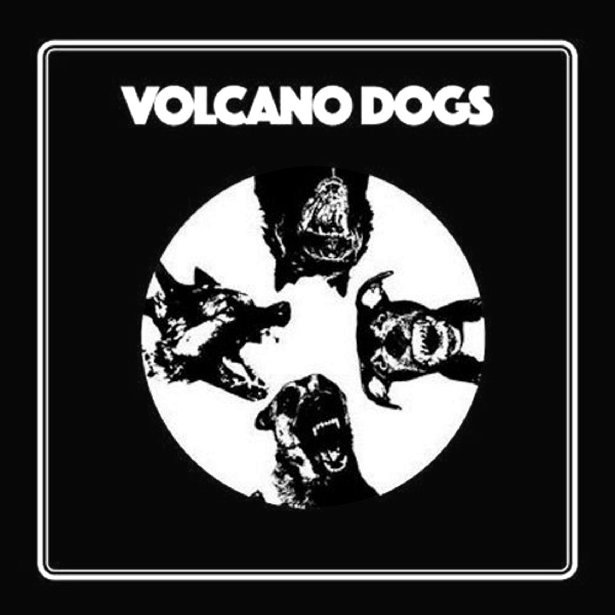 Volcano Dogs- S/T LP ~KILLER!