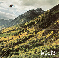 Woods- Songs Of Shame LP - Woodsist - Dead Beat Records